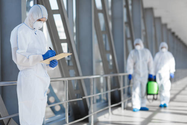 Best Mold-Related Health Consultation  in Blackwood, NJ