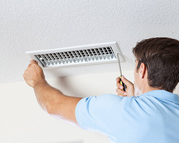Professional Mold Removal in Blackwood, NJ